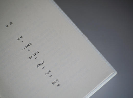 【“云端书展”专区】唤醒     冉正万  著      商品图4