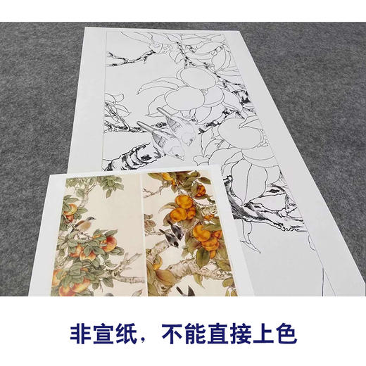 【四条屏】工笔画白描底稿石榴葡萄临摹勾线花鸟线稿TP15 商品图2