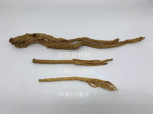 太行山野生 十年潞党参 特级原条装 切片罐装 补脾养，润肺生津 商品图4
