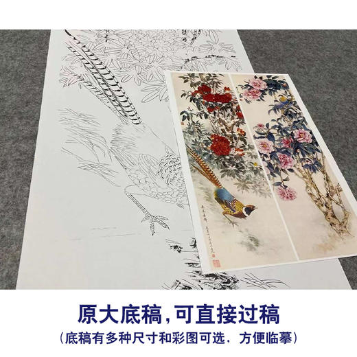 【四条屏】王庆升工笔画白描底稿《春花集锦》牡丹锦鸡临摹勾线花鸟线稿TP36 商品图1
