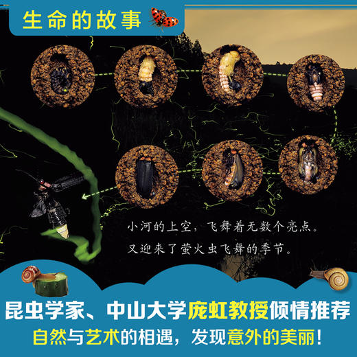 【直播专享·3-8岁】生命的故事30册礼盒装 日本著名昆虫摄影纪实绘本 赠送伴读音频 商品图3