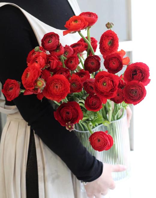 【周四秒杀】洋牡丹一把49.8元 商品图1