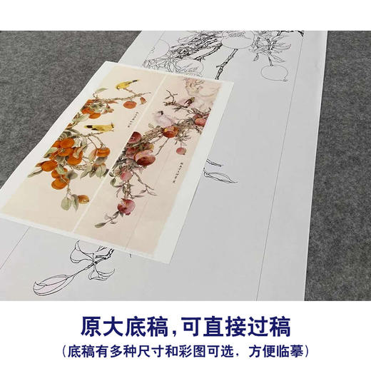 【四条屏】工笔画白描底稿柿子桃枝临摹勾线花鸟线稿TP16 商品图1
