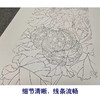 【四条屏】龚雪青工笔画白描底稿南瓜临摹勾线高清打印稿XQ70 商品缩略图4