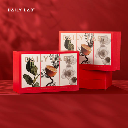 DAILY LAB 限定香薰蜡烛礼盒 卧室助眠香氛摆件 送礼必备 商品图6