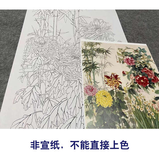 【四条屏】王庆升工笔画白描底稿《四季花卉图》荷花牡丹临摹花鸟线稿TP38 商品图2