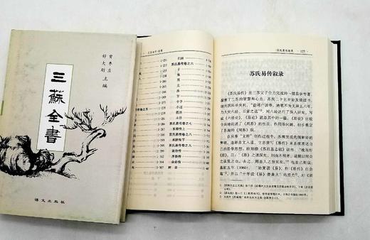《三苏全书》，精装全20册 商品图6