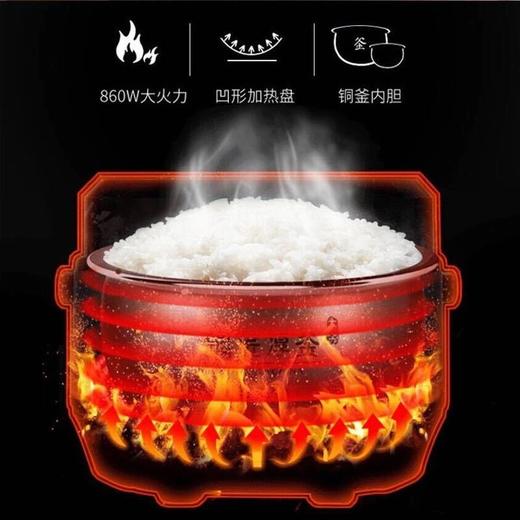 九阳微电脑智能电饭煲F30FY-F311(A) 商品图1