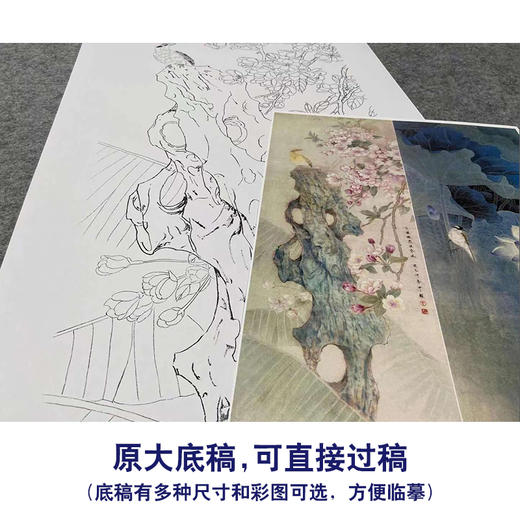【四条屏】周中耀工笔画白描底稿《春夏秋冬》荷花牡丹临摹勾线花鸟线稿TP32 商品图1