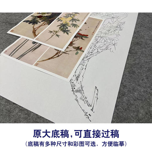 【四条屏】于非闇工笔画白描底稿《四季花鸟图》荷花牡丹临摹勾线花鸟线稿YF90 商品图1