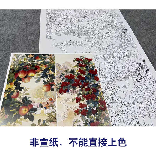 【四条屏】王庆升工笔画白描底稿《硕果满园》葡萄临摹勾线花鸟线稿TP37 商品图2