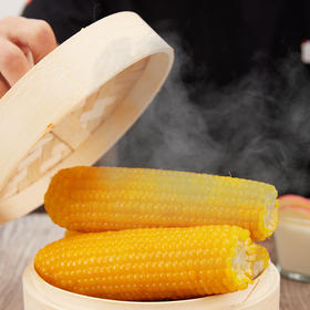 你们要的玉米终于来了，水发集团出品，玉米界的天花板！