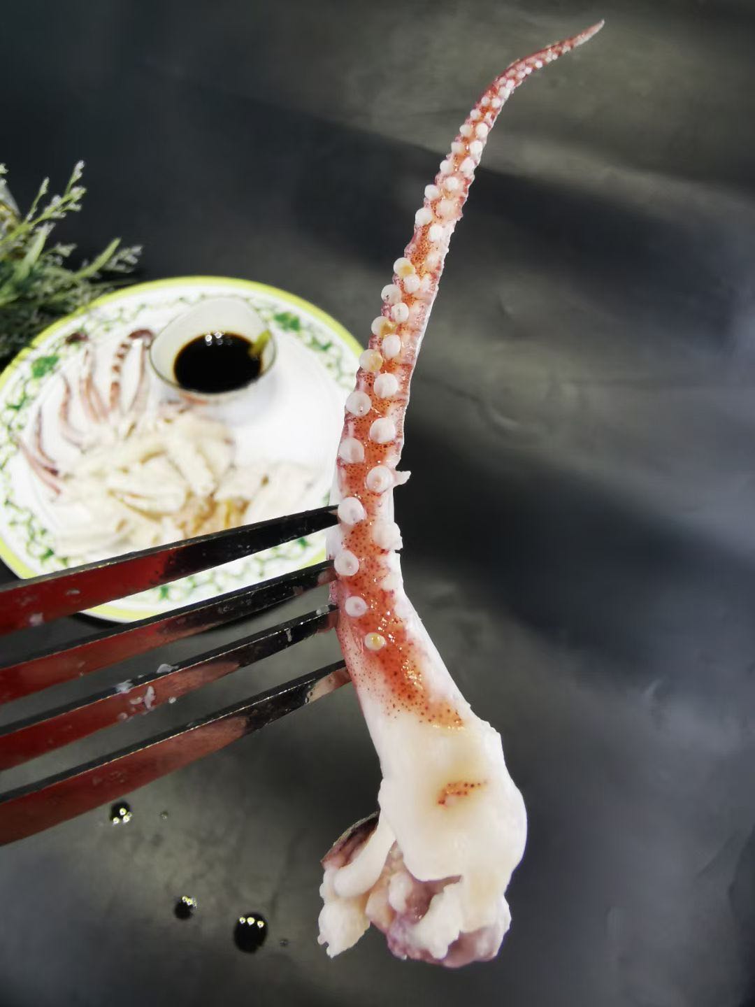 舟山东海海鲜野生非冷冻鱿鱼鲜活大爆头长腿章鱼新鲜八爪鱼3斤装