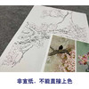 【四条屏】周中耀工笔画白描稿《春夏秋冬》荷花牡丹临摹勾线花鸟线稿TP30 商品缩略图2