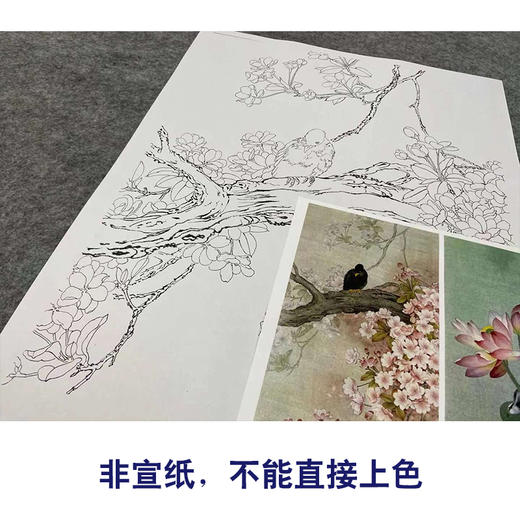 【四条屏】周中耀工笔画白描稿《春夏秋冬》荷花牡丹临摹勾线花鸟线稿TP30 商品图2