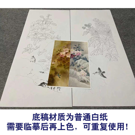 【四条屏】周中耀工笔画白描底稿《春夏秋冬》荷花牡丹临摹勾线花鸟线稿TP32 商品图3