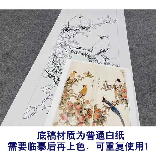 【四条屏】工笔画白描底稿柿子桃枝临摹勾线花鸟线稿TP16 商品图3