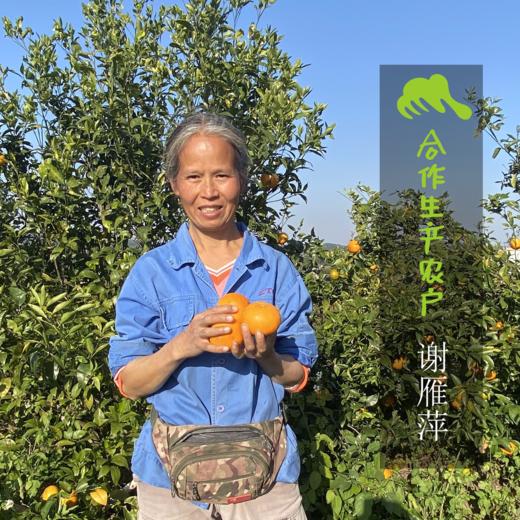 生态皇帝柑（中通快递） | 合作生产 * Ecological Emperor orange | Coproduction 商品图3