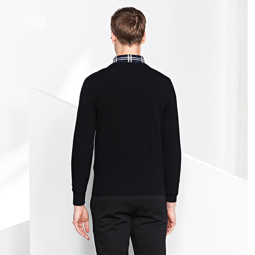 GOOD LUCK/德鲨新款百分百绵羊毛V领亲肤舒适百搭羊毛衫LR13502 商品图5