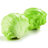 西生菜1朵 约0.7斤 商品缩略图0