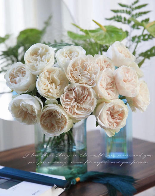 【玫瑰的故事】玫瑰主题包年周花，浪漫小惊喜，每次收一束不同品种的玫瑰花，共计52束，加送2个花瓶 商品图9