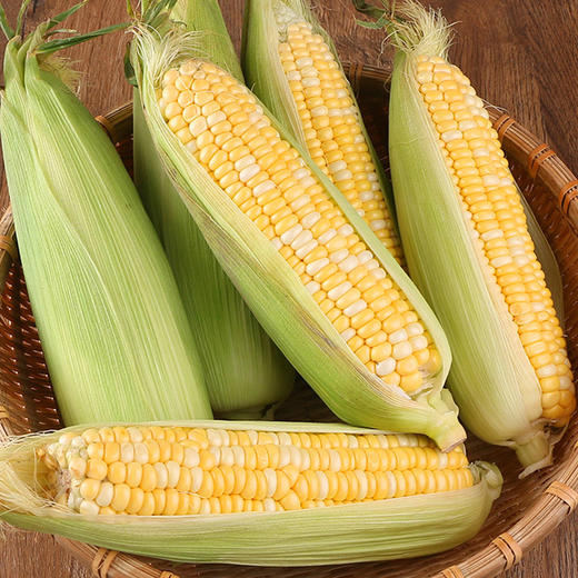 云南高原双色水果玉米  脆甜多汁   个头均匀饱满   口感甘甜而鲜嫩  斤装包邮发出！ 商品图9
