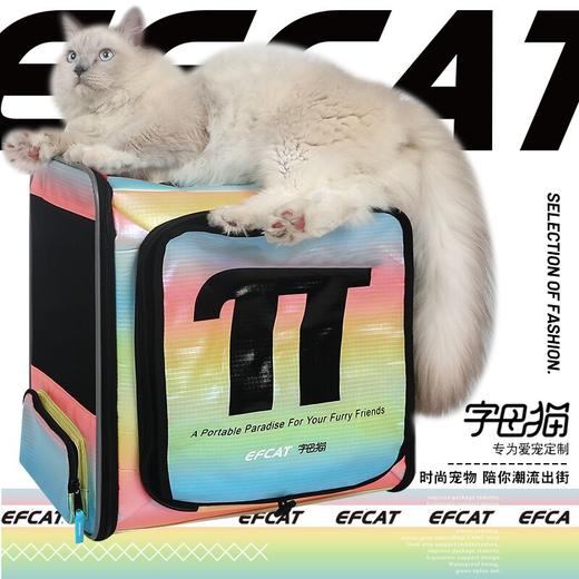 EFC旺元包包 商品图6