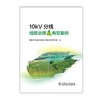 10kV分线线损治理及典型案例 商品缩略图1
