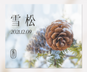 那些闻起来很香的植物 