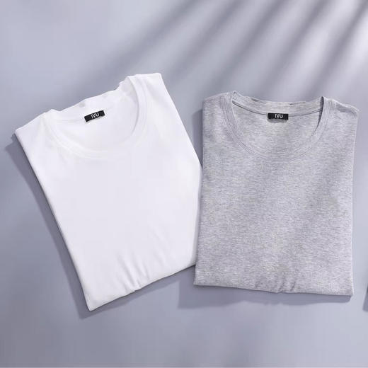 6F IVU男秋季薄款纯棉暖衣棉毛衫V领修身打底上装 商品图2