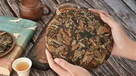 2019·一号白茶·一芽三叶