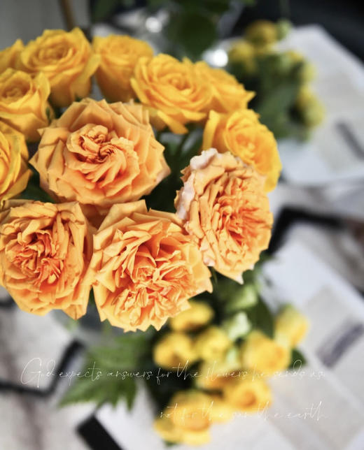 【玫瑰的故事】玫瑰主题包年周花，浪漫小惊喜，每次收一束不同品种的玫瑰花，共计52束，加送2个花瓶 商品图4