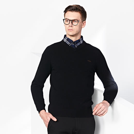 GOOD LUCK/德鲨新款百分百绵羊毛V领亲肤舒适百搭羊毛衫LR13502 商品图4