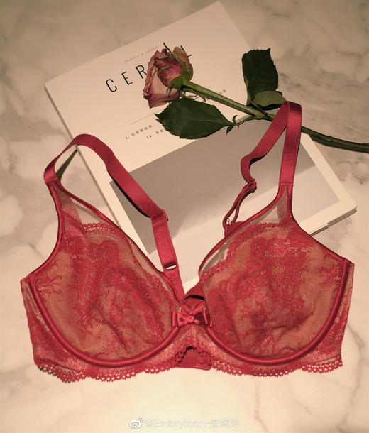 安莉芳内衣女士专利高分子软骨韧性钢圈超薄蕾丝网纱文胸EB00420 商品图2