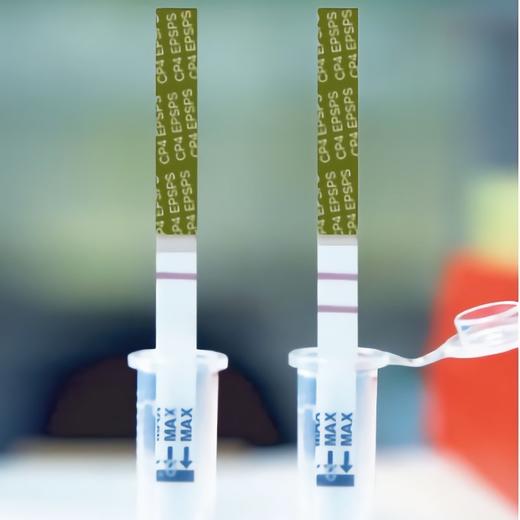 转基因快速检测纸（50条/桶） 商品图3