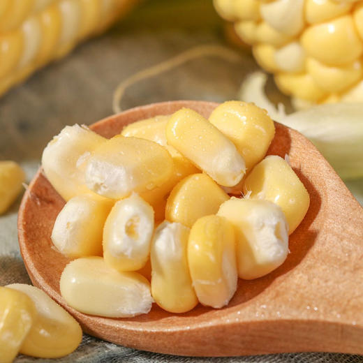 云南高原双色水果玉米  脆甜多汁   个头均匀饱满   口感甘甜而鲜嫩  斤装包邮发出！ 商品图2