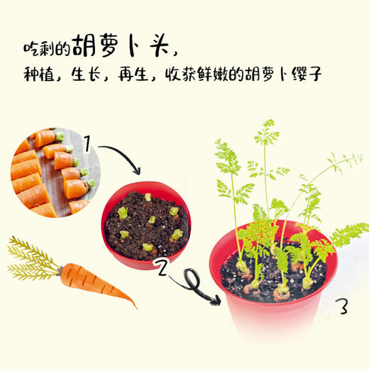 零浪费种菜 商品图4