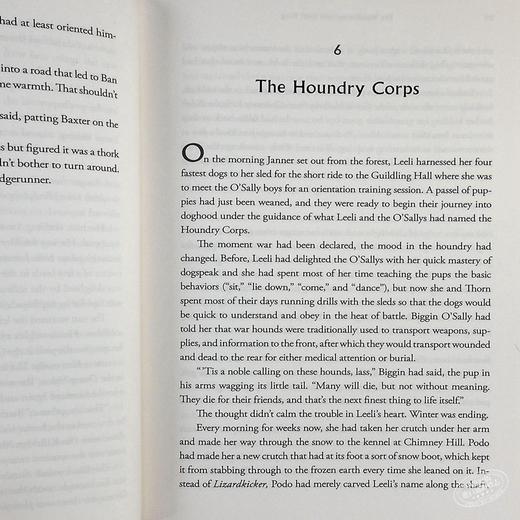 【中商原版】羽翼传奇 1-5套装 英文原版 The The Wingfeather Saga Andrew Peterson Joe Sutphin 儿童奇幻文学 商品图7