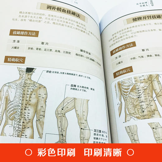 全套6册 无病到天年 从生活学中医 九种体质养生高血压高血脂怎么吃常见病和治liao穴位按摩食疗中药调理健脾祛湿调理脾胃营养学书籍 商品图3