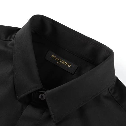 太平鸟男装 商务休闲金线刺绣长袖衬衫男B1CAB4234 商品图2