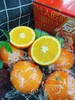 益农建香橙一箱（拼团） 商品缩略图1