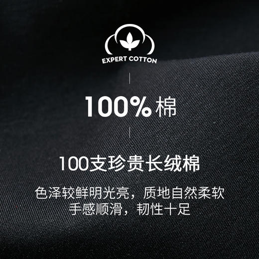 Threegun三枪【银匠心系列-100支长绒棉】无痕V领男士保暖内衣套装-23265D021 商品图7
