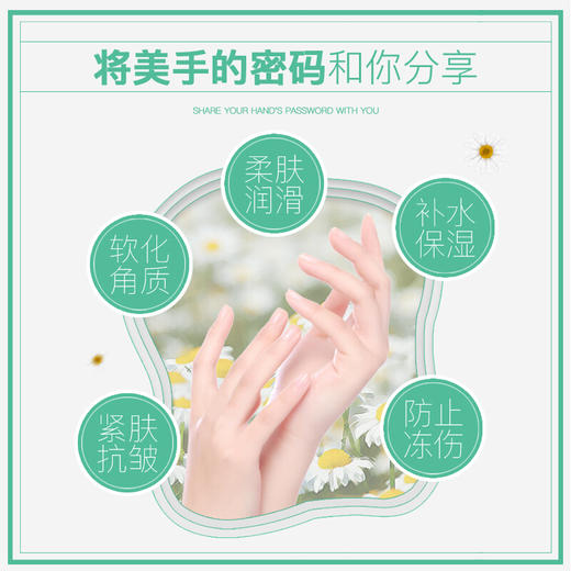 德国贺本清小甘菊herbacin经典礼盒（小甘菊75ml+护手霜20ml+小甘菊修护唇膏4.8g ）【一般贸易】 商品图2