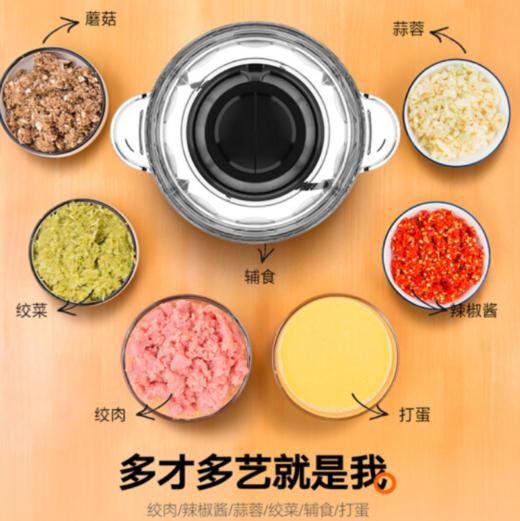 九阳S20-LA750 绞肉机家用电动多功能不锈钢小型碎肉料理搅拌机饺子馅辅食机 商品图5
