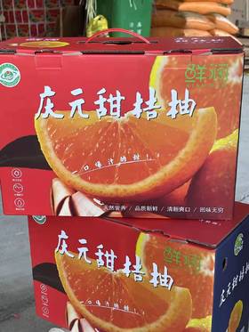 果鲜润甜桔柚10斤装