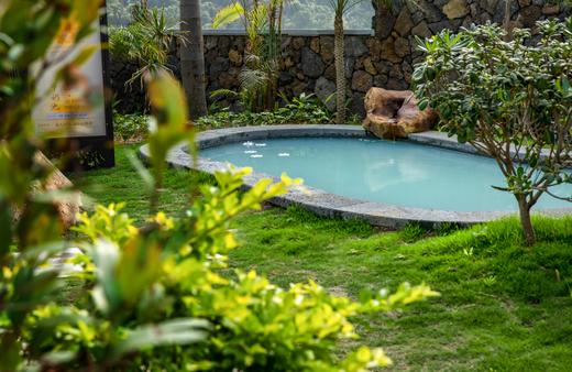 魔幻岛里海贼王的圣诞节——悬崖别墅主题换装派对 商品图3