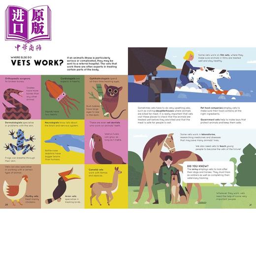 【中商原版】How to Be a Vet and Other Animal Jobs 如何成为宠物医生 儿童职业启蒙绘本 兽医知识科普 英文原版童书 6-9岁 商品图3