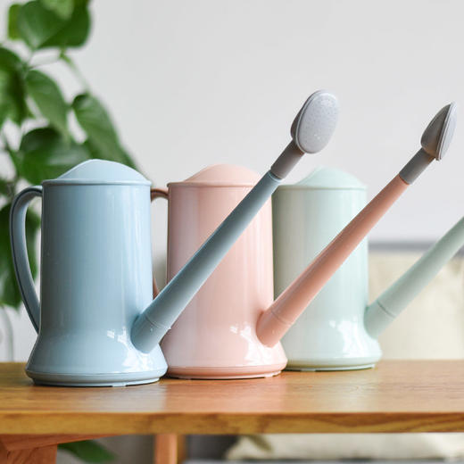 浇水壶阳台小室内家用长嘴沙撒水壶洒水壶浇花喷壶蓬碰淋懒人神器 商品图4