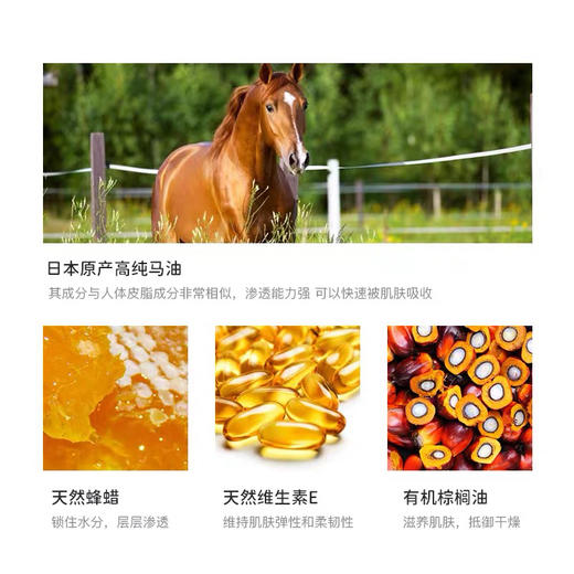 日本Madonna马油面霜25g 商品图7