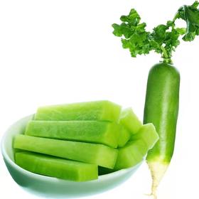 赞字村沙窝萝卜